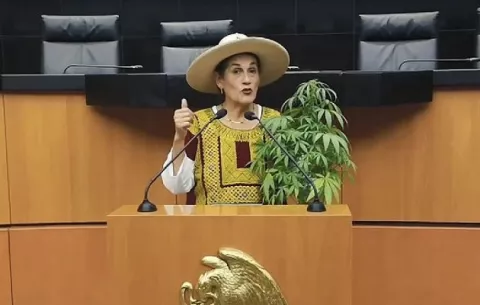 ¿Quién es Jesusa Rodríguez, la posible embajadora de México en Panamá?