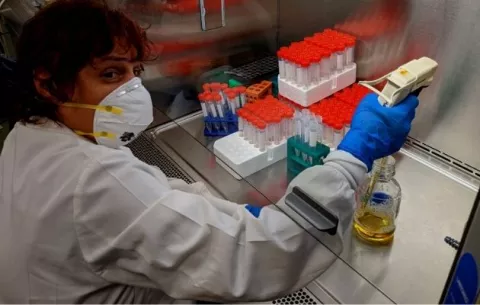 Parásito de la malaria bloquea frentes de lucha a la ciencia, ¿qué papel juega Panamá?