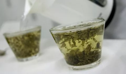 Manzanilla: ¿Tiene poderes curativos? 
