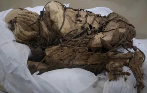 Suben a ocho los niños sepultados en aparente sacrificio en Cajamarquilla, Perú