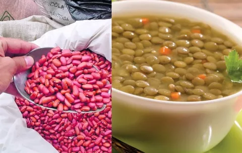 Día de las legumbres: Porotos vs. lentejas, ¿cuál aporta más valor nutricional?