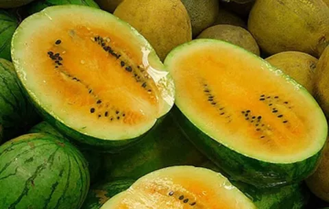 Sandía amarilla: ¿Dónde se cultiva y por qué su producción no es alta en Panamá?