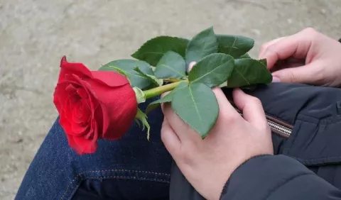 ¿Estás soltero? Así puedes celebrar San Valentín