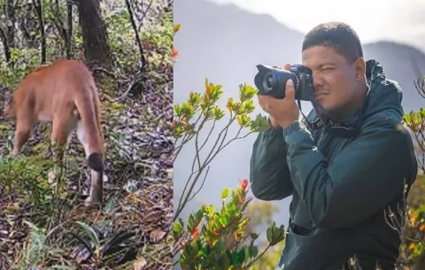 ¿Cómo las cámaras trampa ayudan a concienciar sobre la protección a los grandes felinos?