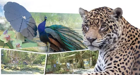 Zoológico El Níspero: ¿Qué es lo más visto por los visitantes?
