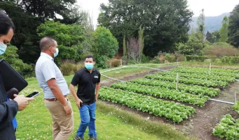 Agricultura chiricana se dirige a un  nuevo modelo 