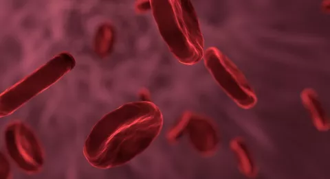 Cáncer de Sangre: Datos que debe conocer sobre esta enfermedad