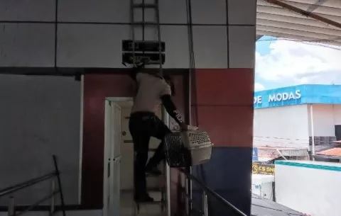 Avanza proceso de rescate de aves atrapadas en un edificio ubicado en Paso Canoas