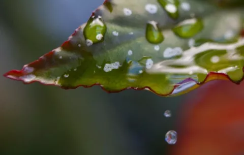 Coca-Cola destina 17 millones de dólares a la resiliencia hídrica de Suramérica