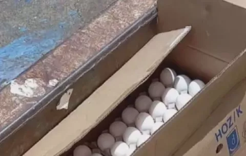 Encuentran varias cajas de huevos en un basurero cerca de la Zona Libre de Colón