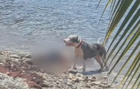 Hallan el cuerpo de un hombre junto a un perro en la Playita de Colón
