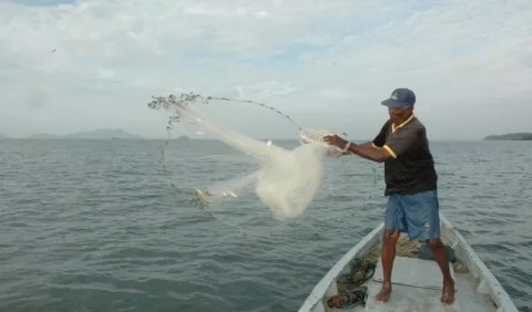 Precios de los mariscos podrían llegar a ser inalcanzables para muchas familias