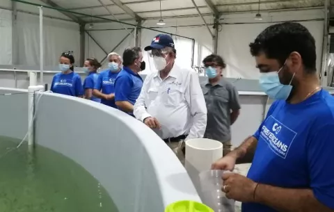 La Arap defiende concesión de más de 50 mil hectáreas para maricultura en Puerto Armuelles