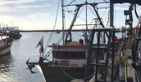 ARAP niega emisión de licencias de pesca 