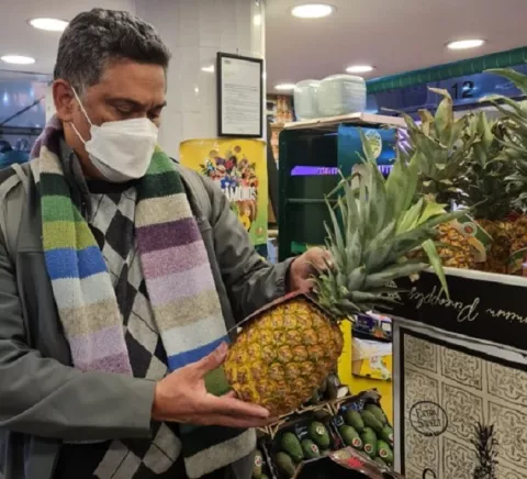 Piña panameña conquista mercados españoles