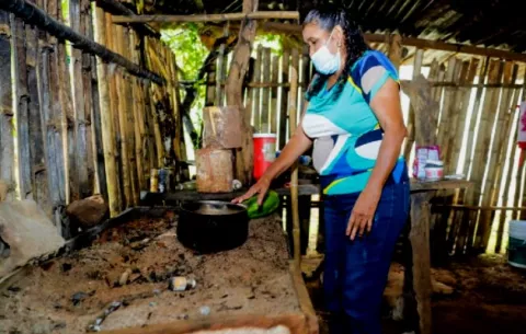 Presentan proyecto de Ley que adopta la estrategia nacional Plan Colmena
