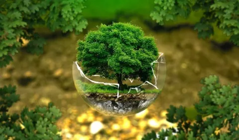 Los 'Premios Verdes' a proyectos ambientales en Iberoamérica llegan a Miami