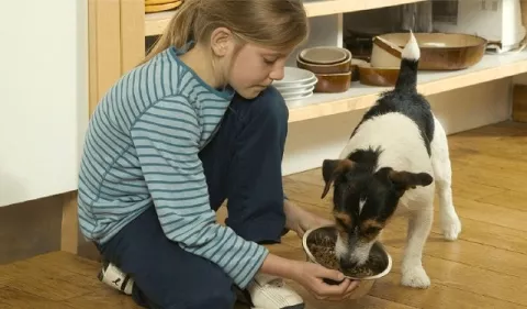 ¿El regreso a clases afecta a las mascotas?