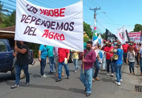 Productores se concentran en Santiago exigiendo renegociar un nuevo TLC con EE.UU.