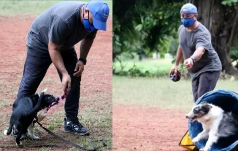 ‘Lo complicado con los perros son los dueños’, así es ser un adiestrador de perros 