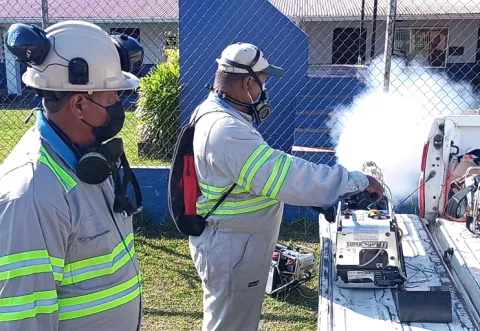 ¡Alarma! Se incrementan casos de dengue en varios distritos de Panamá Oeste 