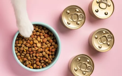 Alimentación mixta para mascotas: ¿Qué es y cómo implementarla?