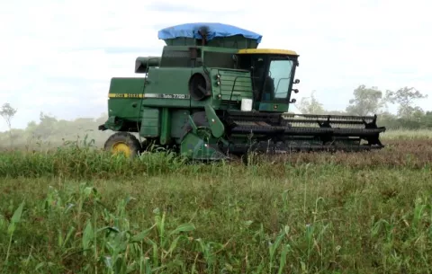 El IICA apoya la biotecnología para impulsar la agricultura en América