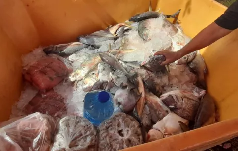Pese al incremento en el combustible, los precios de los mariscos no han variado en Chiriquí
