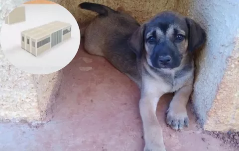 Construirán una clínica hospital de bienestar animal en San Miguelito