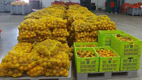 Hasta raspadura de Colombia está ingresando al país, como parte del contrabando