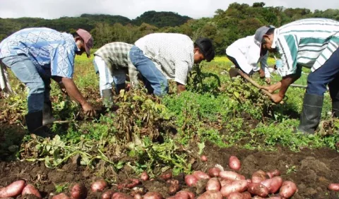 Contrabando está fuera de control en la frontera con Costa Rica