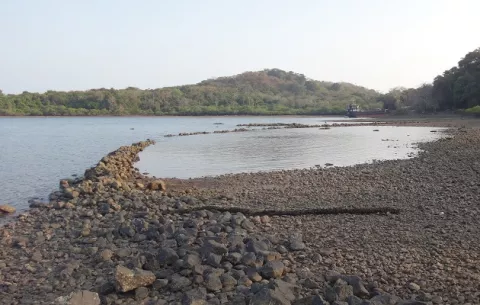 Corrales de piedra, la forma ancestral de pescar en Panamá que un mapa interactivo recopila