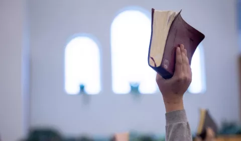 Escuela Laudato Si', convoca a jóvenes creativos