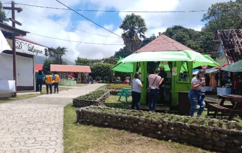 Se esperan más de 20 mil visitantes durante la Feria de la Orquídea en Boquete 
