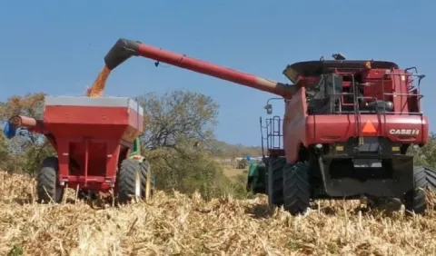 Lo orgánico no soluciona  lío de grandes productores