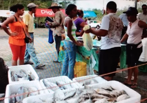 Tras dos años de pandemia, se reactiva el Festival del Pescado y del Marisco en Chiriquí