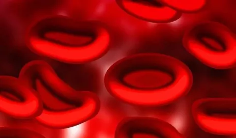 Hemofilia: ¡Adiós a los sangrados!