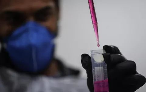 OMS no encuentran relación entre hepatitis infantil y la vacuna contra la covid-19