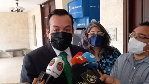 Colegio de Abogados demanda artículo que establece plazo de dos años para  presentar una solicitud de adopción