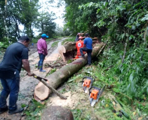 Afectaciones por lluvias en Coclé, los ríos Santa Marta, Zaratí y Coclé del Norte se desbordan
