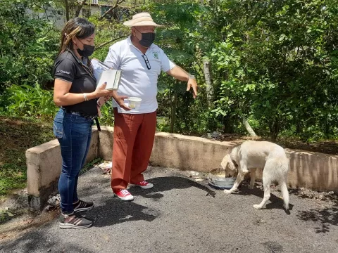 En La Chorrera y Arraiján refuerzan programas de bienestar animal ante aumento de maltratos 