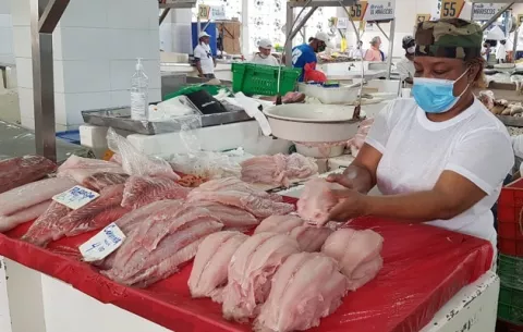 Mercado del Marisco: ¿Cómo  los precios han variado durante las últimas semanas?