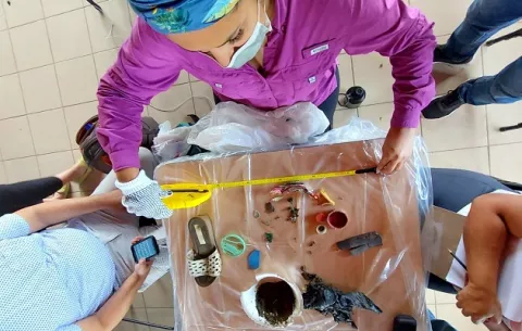 Avanza capacitación para monitorear la basura marina y microplásticos en playas de Panamá 