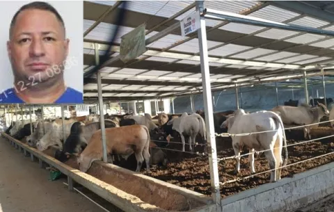 Narco tico, vinculado al Cártel del Golfo, compraba ganado en Panamá