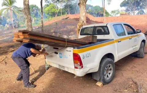 Retienen más de cinco mil metros cúbicos de madera procesada de Espavé y Guayacán en La Chorrera