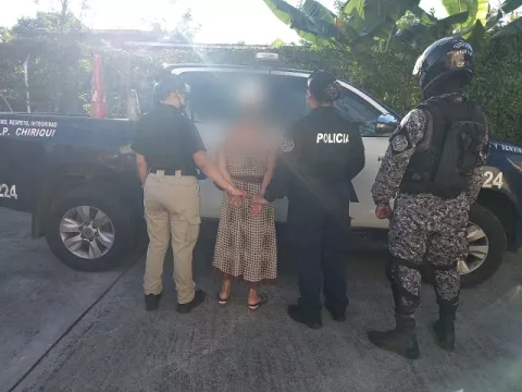 Son detenidas 11 personas en la operación 'Límite' desarrollada en distritos de Chiriquí
