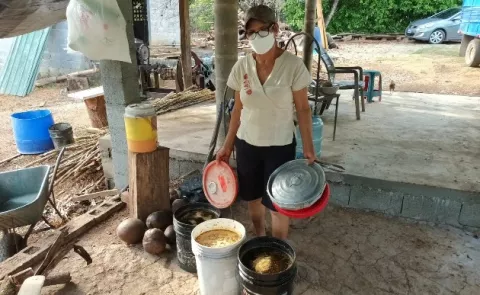 La panela, una dulce tradición