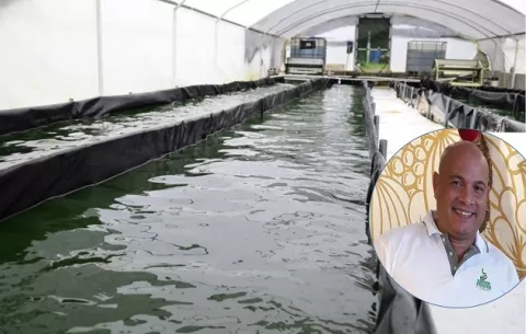 Nuevas apuestas de fertilizantes: ¿Cómo se emplea el alga spirulina para elaborar bioestimulantes?