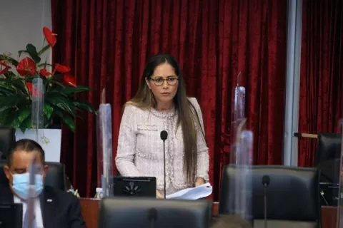 Proyecto que endurecía penas por violencia contra animales domésticos es objetado por el Ejecutivo