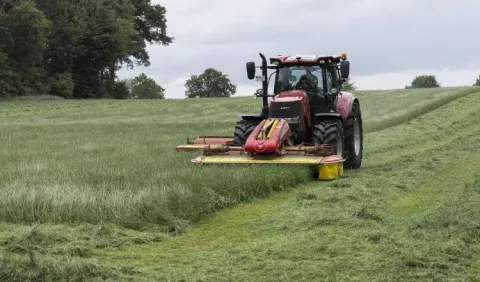 Soberanía alimentaria con pronóstico reservado